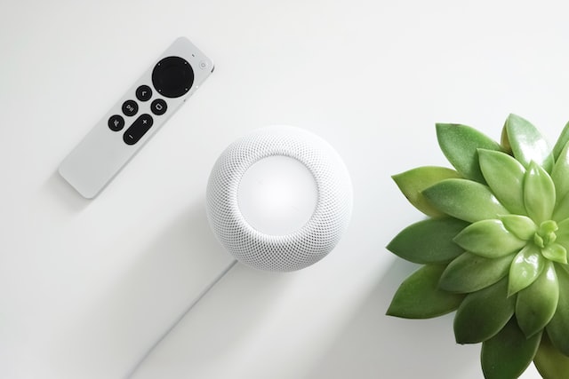voice assistant adalah salah satu smart home iot yang banyak digunakan pada rumah